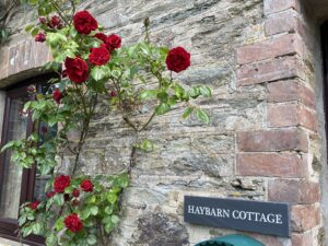 Haybarn Cottage