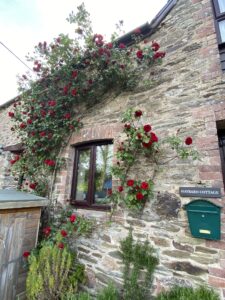 Haybarn Cottage