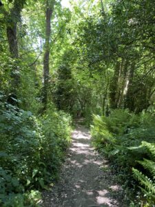 Woodland Walk From Haybarn